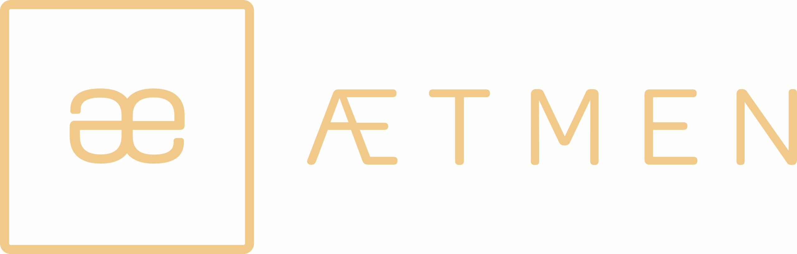AETMEN
